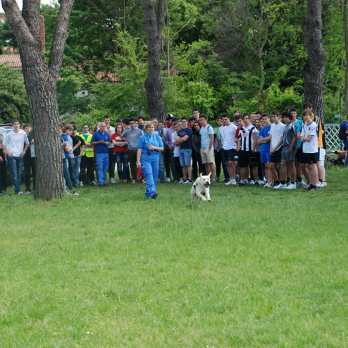 Prova di evacuazione al Malignani n. 46 / 80534