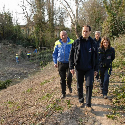 Alvei Puliti 2012 n. 31 / 78232