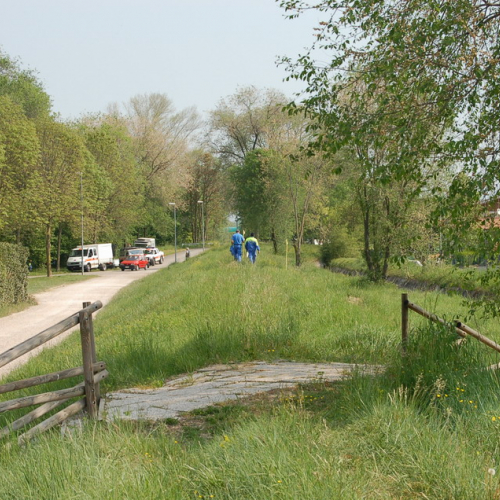 San Pier d'Isonzo foto 5: sorveglianza argini / 10451