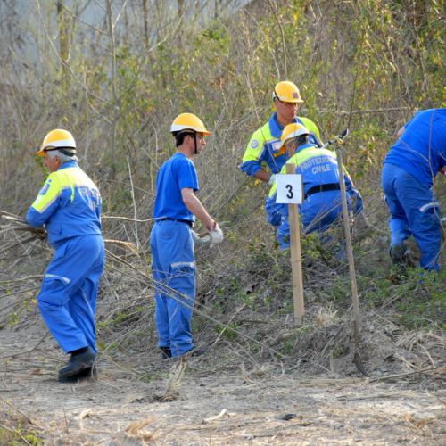 intervento Fiume Meduna Ponte Strada Statale 13 n. 5 / 78429
