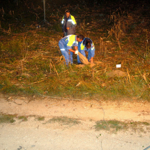 foto Se.Pi. - Meduna 2007" 56""oto "Se.Pi. - Meduna 200""to "Se.Pi. - Meduna""o "Se.Pi. - Med"" "Se.Pi. - M"""Se.Pi. - ""Se.Pi. - " / 17013