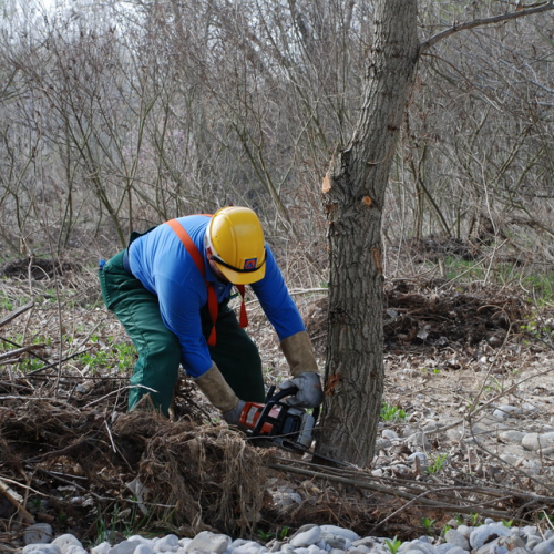 Intervento alveo Torre nelle vicinanze dell'abitato di Salt n. 41 / 78715