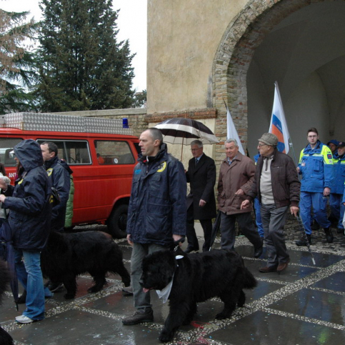 Ventennale Gruppo Pc Sesto al Reghena n. 11 / 105166