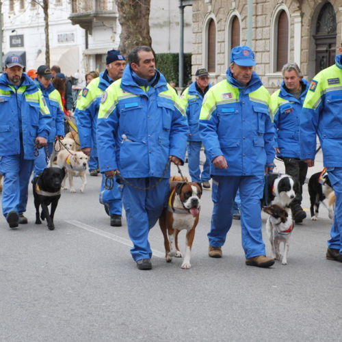 XI^ giornata del volontariato n. 37 / 33441