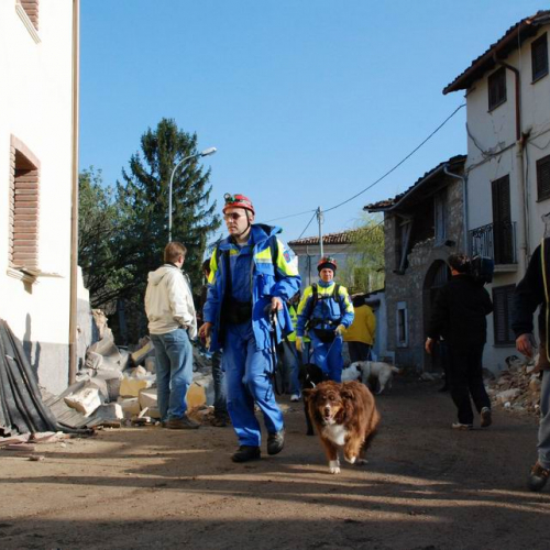 Abruzzo 07/04/09 n. 23 / 37271