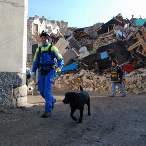 Abruzzo 07/04/09 n. 24 / 37272