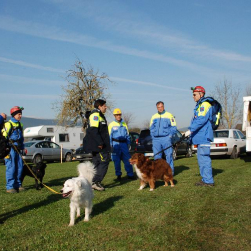 Abruzzo 07/04/09 n. 26 / 37274