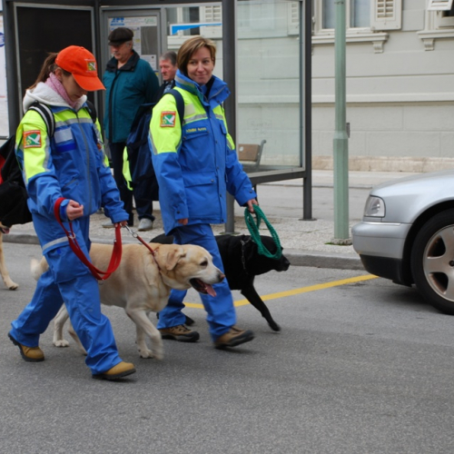 XI^ giornata del volontariato n. 38 / 33442