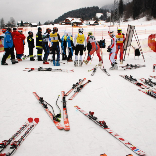 Coppa Europa Sci Disabili n. 39 / 90366