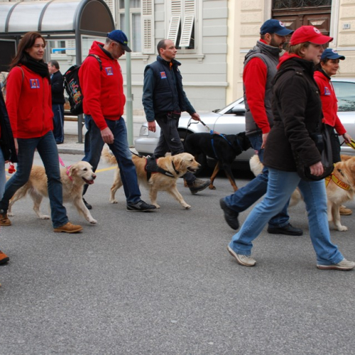 XI^ giornata del volontariato n. 39 / 33443