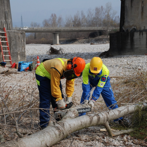 Intervento alveo Torre nelle vicinanze dell'abitato di Salt n. 42 / 78716