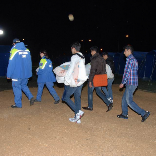 Alloggiamento popolazione n. 34 / 81430