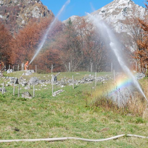 Addestramento congiunto Aviano 24 / 31411