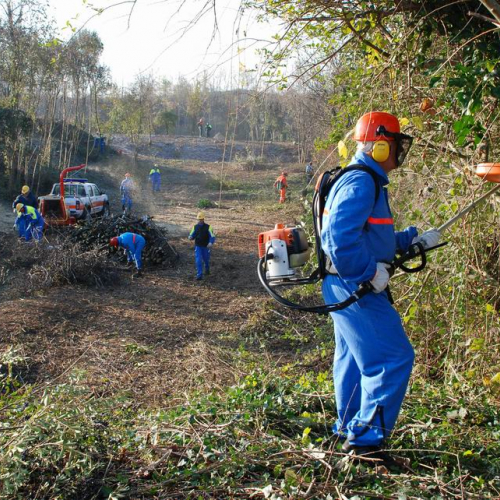 Esercitazione 19/11 n. 21 / 72895
