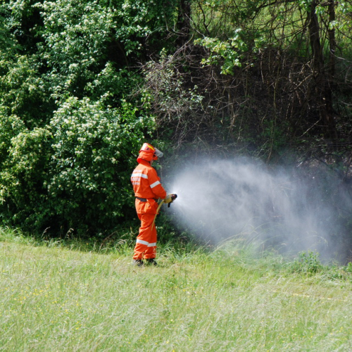 35∞ anniversario squadra AIB di Caneva n. 21 / 94953