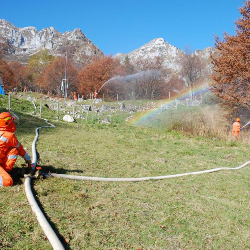 Addestramento congiunto Aviano 25 / 31412