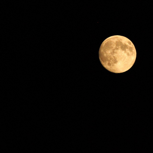 Passa una notte in tenda 2013 n. 31 / 97818
