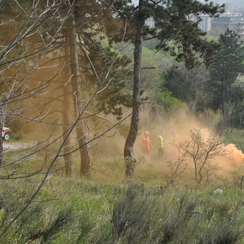 Campi scuola (01.04.14) n. 74 / 107403
