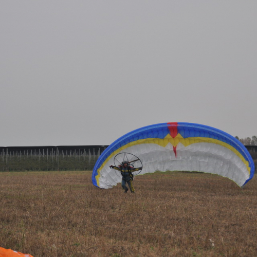 Addestramento ricerca persone 10/11 n. 27 / 88370