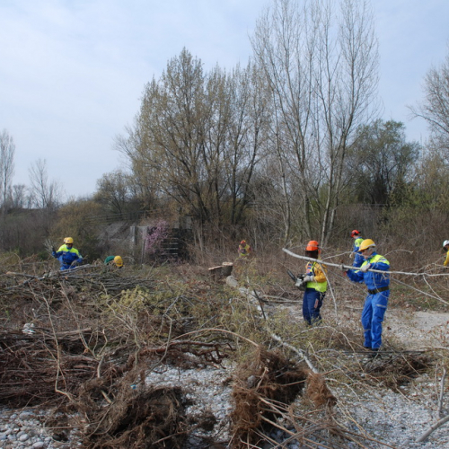 Intervento alveo Torre nelle vicinanze dell'abitato di Salt n. 43 / 78717