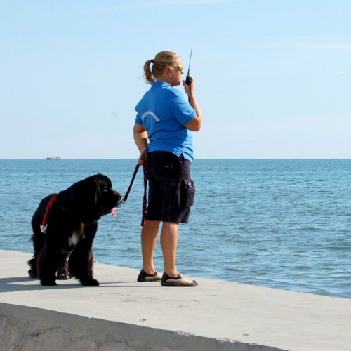 Grado Air Show 2007 34 / 15766
