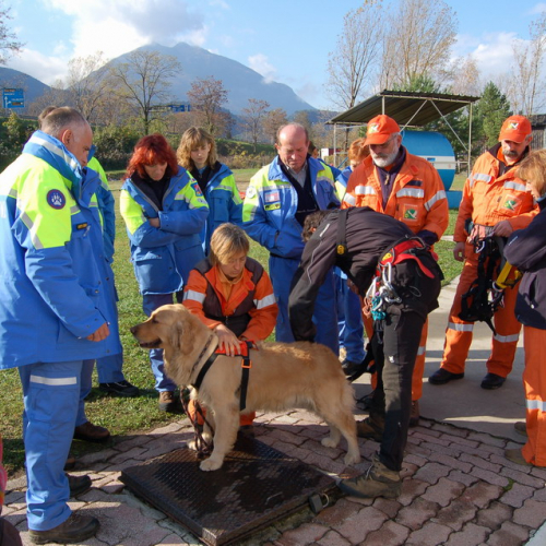 Corso Tolmezzo mattina 09/11n. 4 / 32066