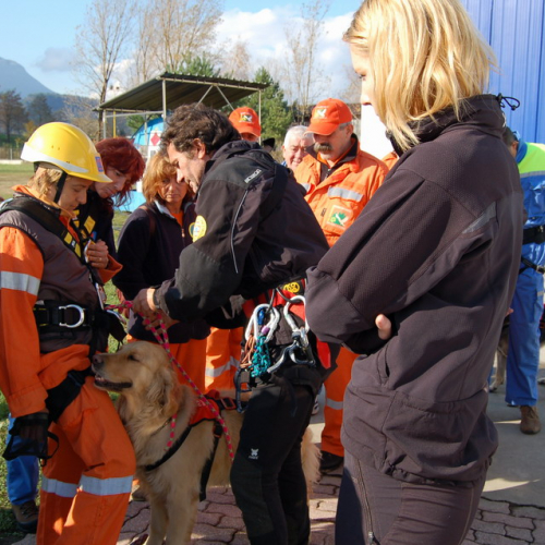 Corso Tolmezzo mattina 09/11n. 5 / 32067
