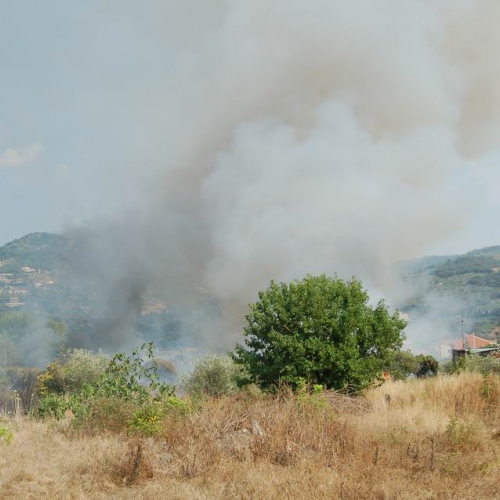 Volontari in Sicilia - Primo turno 22 / 26929