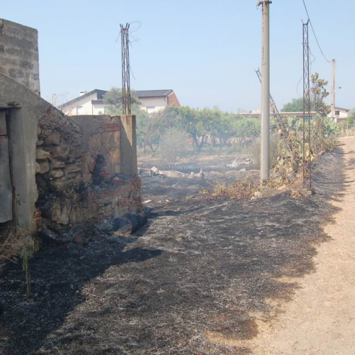Volontari in Sicilia - Primo turno 23 / 26930