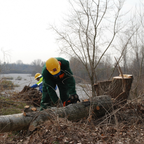 Intervento alveo Torre nelle vicinanze dell'abitato di Salt n. 45 / 78719