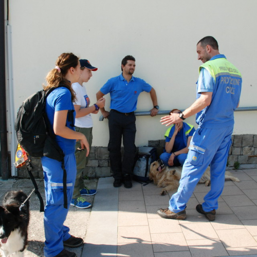 Attivit‡ formazione/divulgazione presso scuola Colugna n. 17 / 109888