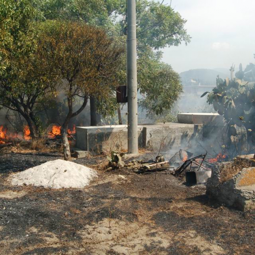 Volontari in Sicilia - Primo turno 24 / 26931
