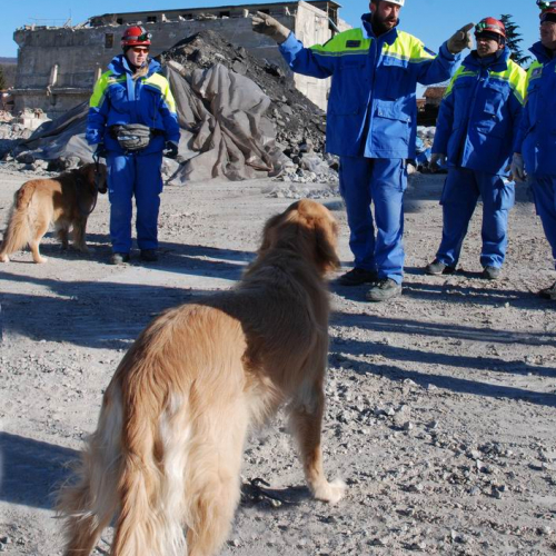 foto esercitazione 19 / 33989