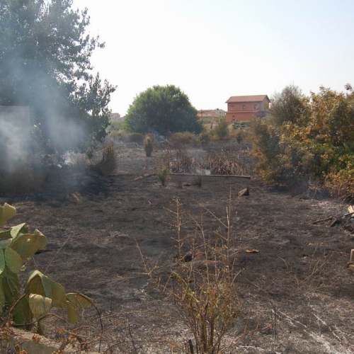Volontari in Sicilia - Primo turno 25 / 26932