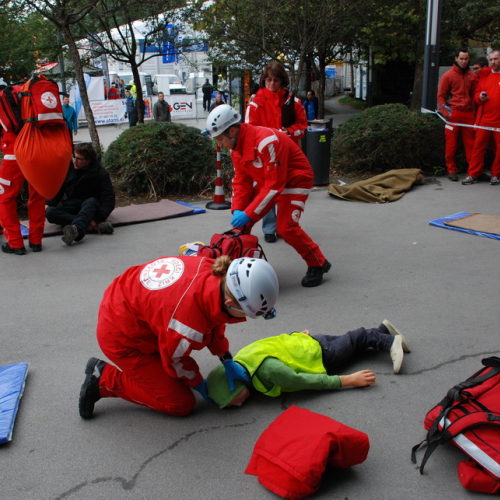 Giornate della Protezione civile e del Soccorso n. 43 / 100534