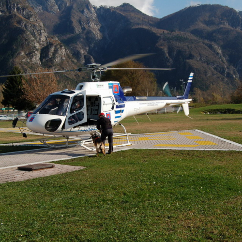 Corso Tolmezzo mattina 09/11n. 8 / 32070