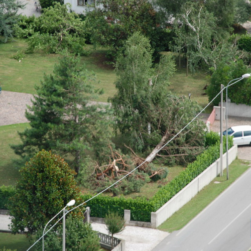 foto aeree n. 45 / 54601