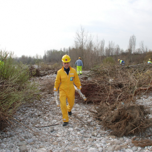 Intervento alveo Torre nelle vicinanze dell'abitato di Salt n. 47 / 78721