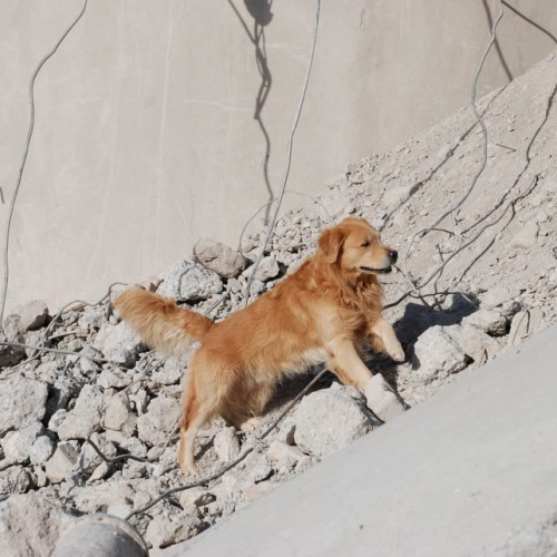 foto esercitazione 23 / 33993