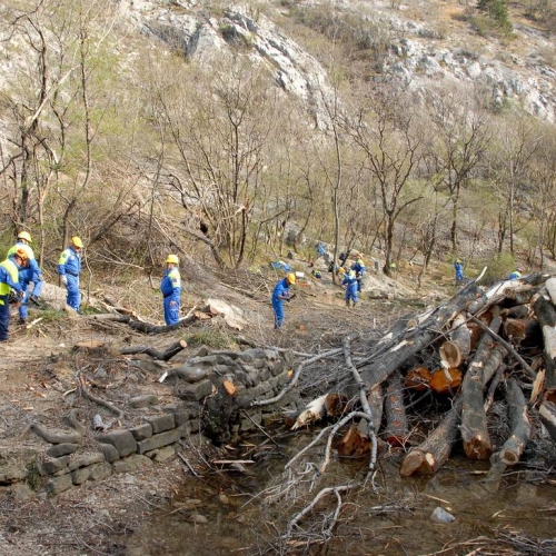 Alvei Puliti 2012 n. 41 / 78242