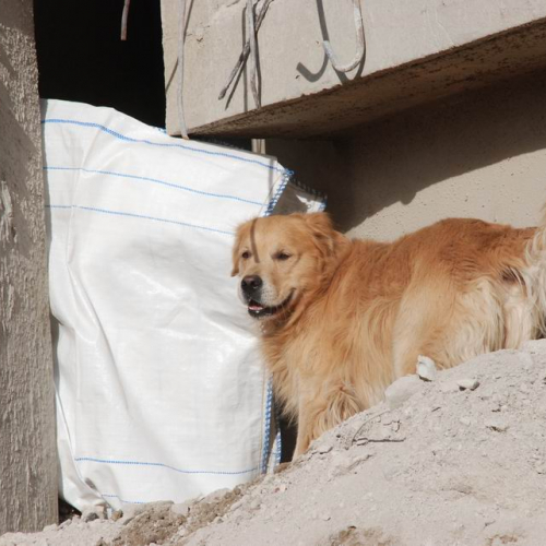 foto esercitazione 24 / 33994