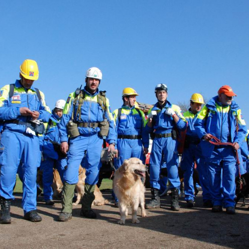 Abruzzo 07/04/09 n. 31 / 37279