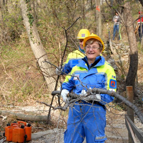 Alvei Puliti 2012 n. 42 / 78243