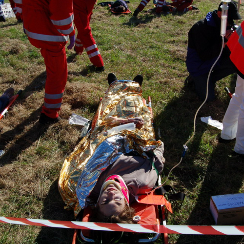 foto TRK 2007 n. 42 / 18201