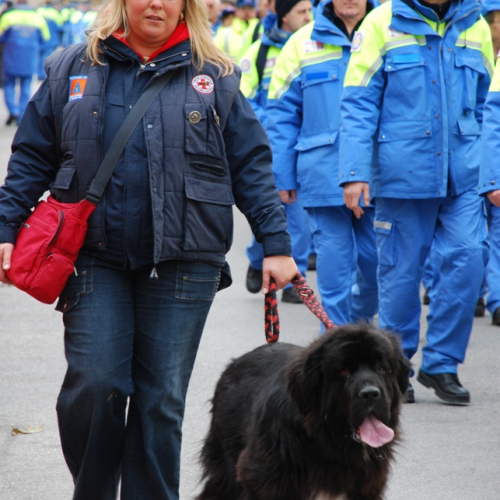 XI^ giornata del volontariato n. 50 / 33454