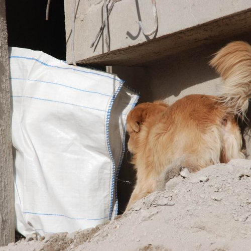 foto esercitazione 25 / 33995