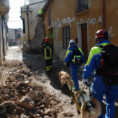Abruzzo 07/04/09 n. 32 / 37280