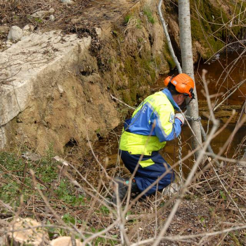 Alvei Puliti 2012 n. 44 / 78245