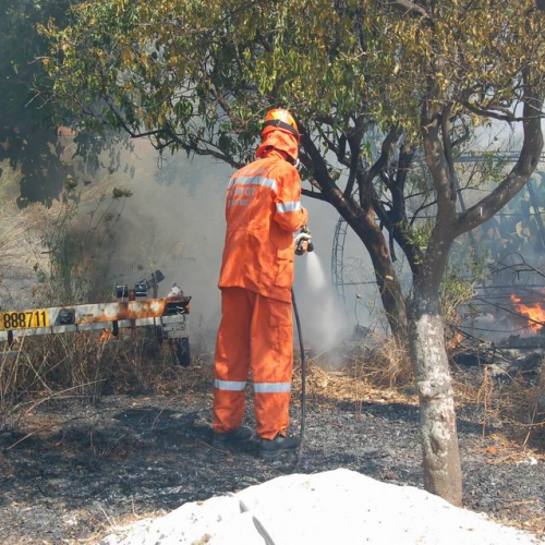Volontari in Sicilia - Primo turno 27 / 26934