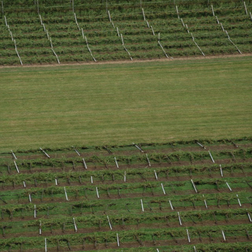 foto aeree n. 47 / 54603